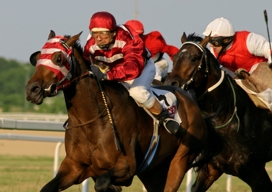 chevaux de course